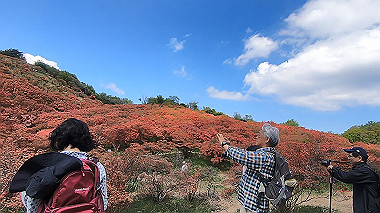 gx016427.mp4_snapshot_13.07_thumb.jpg
