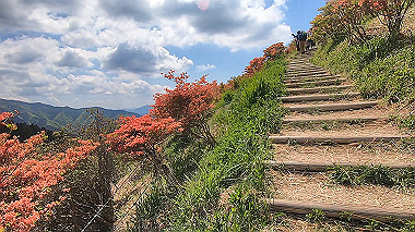 gx016428.mp4_snapshot_04.50_thumb.jpg