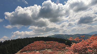 gx016428.mp4_snapshot_04.57_thumb.jpg