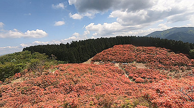 gx016428.mp4_snapshot_05.21_thumb.jpg