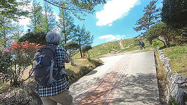 gx016430.mp4_snapshot_00.01_thumb.jpg