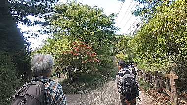 gx016443.mp4_snapshot_00.45_thumb.jpg