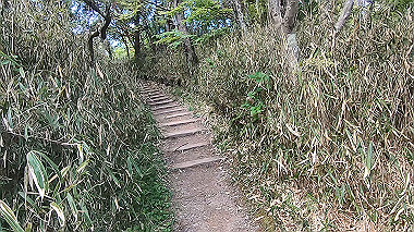 gx016443.mp4_snapshot_02.40_thumb.jpg