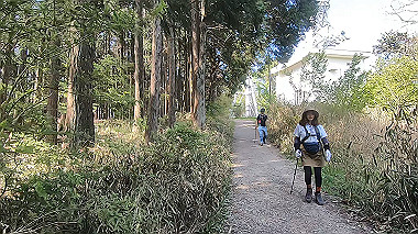 gx016443.mp4_snapshot_04.49_thumb.jpg