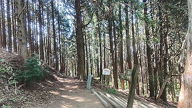 gx016443.mp4_snapshot_07.12_thumb.jpg