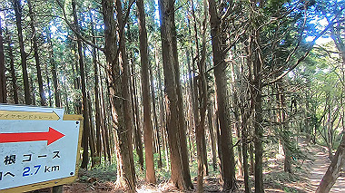 gx016443.mp4_snapshot_07.37_thumb.jpg
