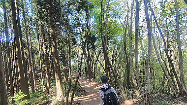 gx016443.mp4_snapshot_08.19_thumb.jpg