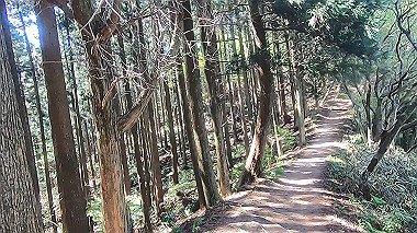 gx016443.mp4_snapshot_12.24_thumb.jpg