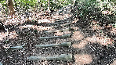 gx016443.mp4_snapshot_13.13_thumb.jpg