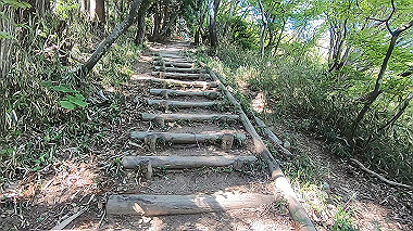 gx016443.mp4_snapshot_14.12_thumb.jpg
