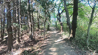 gx016443.mp4_snapshot_15.12_thumb.jpg