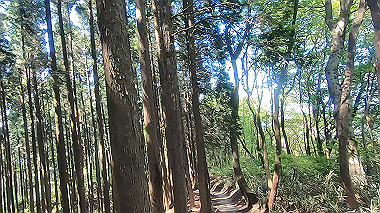 gx016444.mp4_snapshot_00.10_thumb.jpg