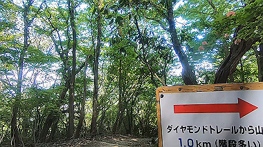 gx016444.mp4_snapshot_03.39_thumb.jpg
