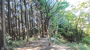 gx016444.mp4_snapshot_06.27_thumb.jpg