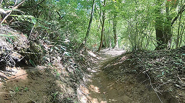 gx016445.mp4_snapshot_00.01_thumb.jpg