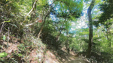 gx016445.mp4_snapshot_00.49_thumb.jpg