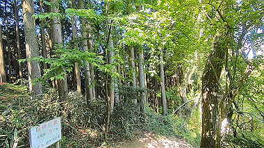 gx016445.mp4_snapshot_02.03_thumb.jpg