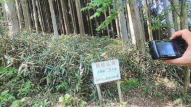 gx016445.mp4_snapshot_02.06_thumb.jpg