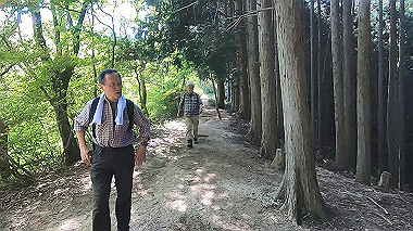 gx016445.mp4_snapshot_03.45_thumb.jpg