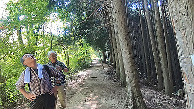 gx016445.mp4_snapshot_03.48_thumb.jpg