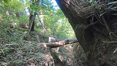 gx016445.mp4_snapshot_04.37_thumb.jpg