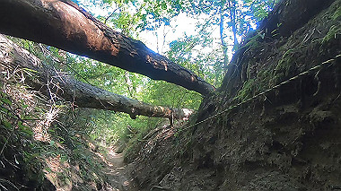 gx016445.mp4_snapshot_04.48_thumb.jpg