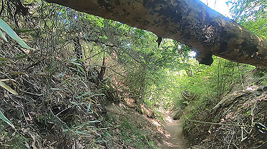 gx016446.mp4_snapshot_00.12_thumb.jpg