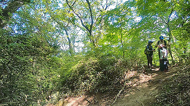 gx016446.mp4_snapshot_00.54_thumb.jpg