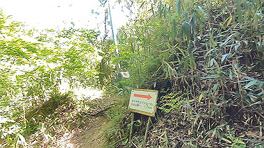 gx016446.mp4_snapshot_02.34_thumb.jpg