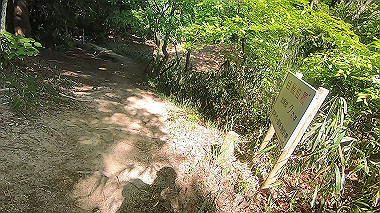 gx016446.mp4_snapshot_04.16_thumb.jpg