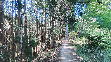 gx016447.mp4_snapshot_00.03_thumb.jpg