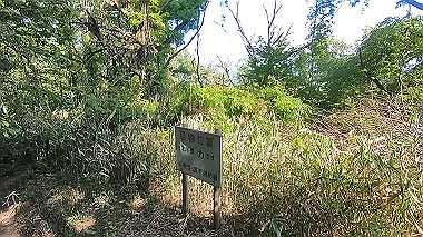 gx016448.mp4_snapshot_00.00_thumb.jpg