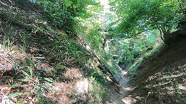 gx016448.mp4_snapshot_01.13_thumb.jpg
