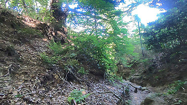 gx016449.mp4_snapshot_02.28_thumb.jpg