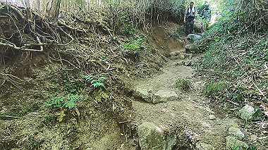 gx016449.mp4_snapshot_04.08_thumb.jpg
