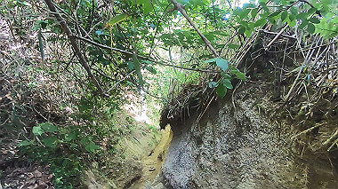 gx016450.mp4_snapshot_00.17_thumb.jpg