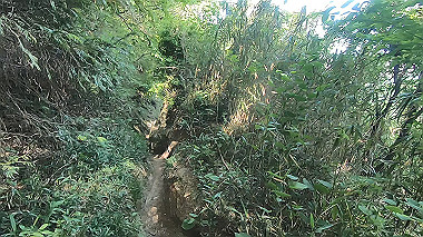 gx016450.mp4_snapshot_00.57_thumb.jpg