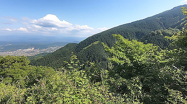gx016450.mp4_snapshot_02.40_thumb.jpg