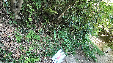 gx016451.mp4_snapshot_01.06_thumb.jpg