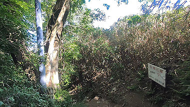 gx016451.mp4_snapshot_03.14_thumb.jpg