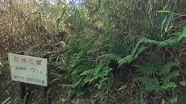 gx016451.mp4_snapshot_03.17_thumb.jpg
