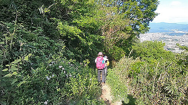 gx016451.mp4_snapshot_04.57_thumb.jpg