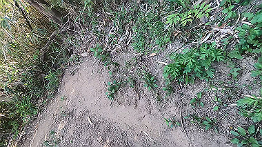 gx016451.mp4_snapshot_09.27_thumb.jpg