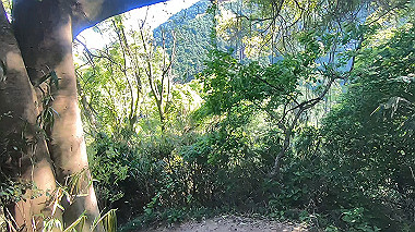 gx016451.mp4_snapshot_10.18_thumb.jpg