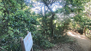gx016451.mp4_snapshot_14.34_thumb.jpg
