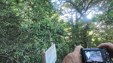 gx016451.mp4_snapshot_14.37_thumb.jpg