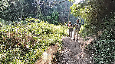 gx016452.mp4_snapshot_04.22_thumb.jpg