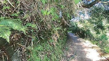 gx016452.mp4_snapshot_04.31_thumb.jpg