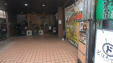 gx016455.mp4_snapshot_01.20_thumb.jpg