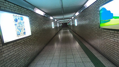 gx016456.mp4_snapshot_00.25_thumb.jpg